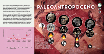 https://www.leona-arte.com/website/expos/files/gimgs/th-106_106_2a-paleoantropoceno.gif