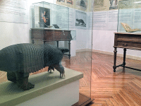 https://www.leona-arte.com/website/expos/files/gimgs/th-142_Felix-de-Azara-RANME-2021-05.gif