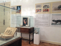 https://www.leona-arte.com/website/expos/files/gimgs/th-142_Felix-de-Azara-RANME-2021-06.gif