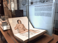 https://www.leona-arte.com/website/expos/files/gimgs/th-149_149_ranme-exposicion-olavide-04.gif
